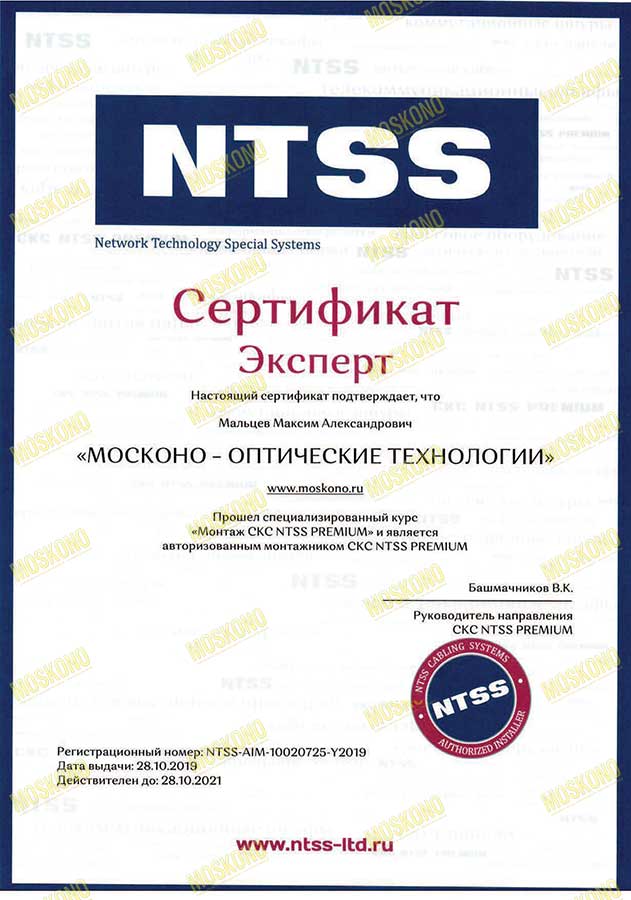 NTSS - Мальцев