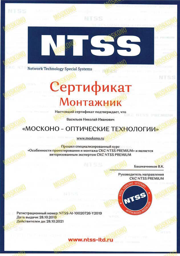 NTSS - Васильев